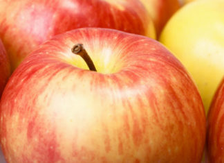 Sagra della mela Annurca 1331 0 Sagra della mela Annurca